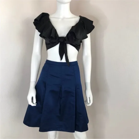 Ann Taylor blue pleated skirt size 8