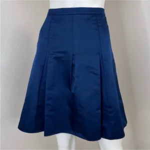 Ann Taylor blue pleated skirt size 8
