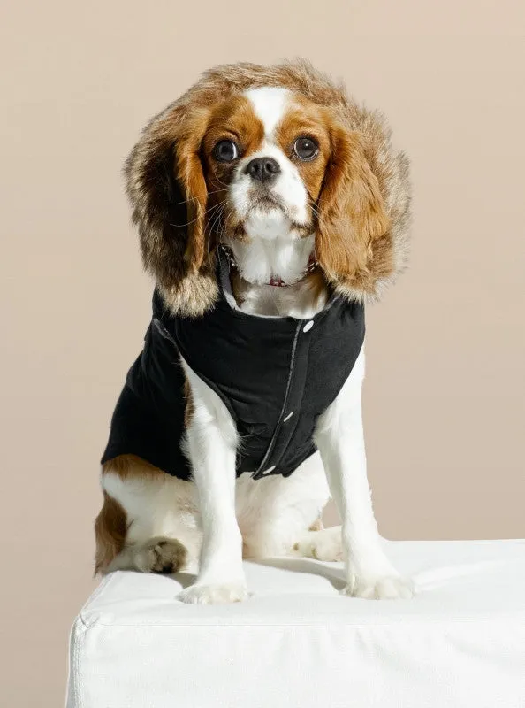 Equiline Dog Trench Bamboo -52/54