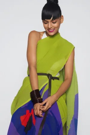 Printed Pleated Sari